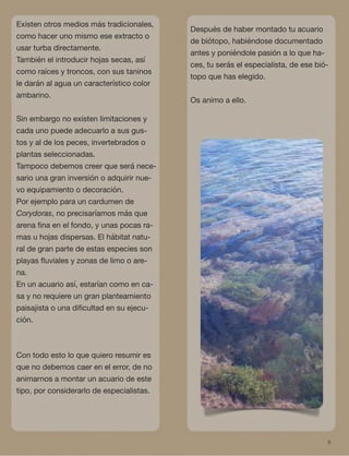 8
Existen otros medios más tradicionales,
como hacer uno mismo ese extracto o
usar turba directamente.
También el introducir hojas secas, así
como raíces y troncos, con sus taninos
le darán al agua un característico color
ambarino.
Sin embargo no existen limitaciones y
cada uno puede adecuarlo a sus gus-
tos y al de los peces, invertebrados o
plantas seleccionadas.
Tampoco debemos creer que será nece-
sario una gran inversión o adquirir nue-
vo equipamiento o decoración.
Por ejemplo para un cardumen de
Corydoras, no precisaríamos más que
arena ﬁna en el fondo, y unas pocas ra-
mas u hojas dispersas. El hábitat natu-
ral de gran parte de estas especies son
playas ﬂuviales y zonas de limo o are-
na.
En un acuario así, estarían como en ca-
sa y no requiere un gran planteamiento
paisajista o una diﬁcultad en su ejecu-
ción.
Con todo esto lo que quiero resumir es
que no debemos caer en el error, de no
animarnos a montar un acuario de este
tipo, por considerarlo de especialistas.
Después de haber montado tu acuario
de biótopo, habiéndose documentado
antes y poniéndole pasión a lo que ha-
ces, tu serás el especialista, de ese bió-
topo que has elegido.
Os animo a ello.
 