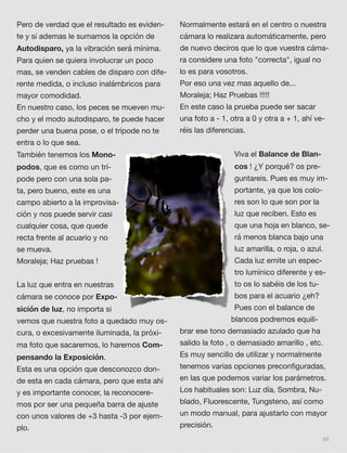 89
Pero de verdad que el resultado es eviden-
te y si ademas le sumamos la opción de
Autodisparo, ya la vibración será mínima.
Para quien se quiera involucrar un poco
mas, se venden cables de disparo con dife-
rente medida, o incluso inalámbricos para
mayor comodidad.
En nuestro caso, los peces se mueven mu-
cho y el modo autodisparo, te puede hacer
perder una buena pose, o el trípode no te
entra o lo que sea.
También tenemos los Mono-
podos, que es como un trí-
pode pero con una sola pa-
ta, pero bueno, este es una
campo abierto a la improvisa-
ción y nos puede servir casi
cualquier cosa, que quede
recta frente al acuario y no
se mueva.
Moraleja; Haz pruebas !
La luz que entra en nuestras
cámara se conoce por Expo-
sición de luz, no importa si
vemos que nuestra foto a quedado muy os-
cura, o excesivamente iluminada, la próxi-
ma foto que sacaremos, lo haremos Com-
pensando la Exposición.
Esta es una opción que desconozco don-
de esta en cada cámara, pero que esta ahí
y es importante conocer, la reconocere-
mos por ser una pequeña barra de ajuste
con unos valores de +3 hasta -3 por ejem-
plo.
Normalmente estará en el centro o nuestra
cámara lo realizara automáticamente, pero
de nuevo deciros que lo que vuestra cáma-
ra considere una foto "correcta", igual no
lo es para vosotros.
Por eso una vez mas aquello de...
Moraleja; Haz Pruebas !!!!!
En este caso la prueba puede ser sacar
una foto a - 1, otra a 0 y otra a + 1, ahí ve-
réis las diferencias.
Viva el Balance de Blan-
cos ! ¿Y porqué? os pre-
guntareis. Pues es muy im-
portante, ya que los colo-
res son lo que son por la
luz que reciben. Esto es
que una hoja en blanco, se-
rá menos blanca bajo una
luz amarilla, o roja, o azul.
Cada luz emite un espec-
tro lumínico diferente y es-
to os lo sabéis de los tu-
bos para el acuario ¿eh?
Pues con el balance de
blancos podremos equili-
brar ese tono demasiado azulado que ha
salido la foto , o demasiado amarillo , etc.
Es muy sencillo de utilizar y normalmente
tenemos varias opciones preconﬁguradas,
en las que podemos variar los parámetros.
Los habituales son: Luz día, Sombra, Nu-
blado, Fluorescente, Tungsteno, así como
un modo manual, para ajustarlo con mayor
precisión.
 