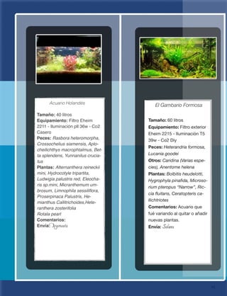 95
Acuario Holandés
Tamaño: 40 litros
Equipamiento: Filtro Eheim
2211 - Iluminación pll 36w - Co2
Casero
Peces: Rasbora heteromorpha,
Crossochelius siamensis, Aplo-
cheilichthys macrophtalmus, Bet-
ta splendens, Yunnanilus crucia-
tus
Plantas: Alternanthera reineckii
mini, Hydrocotyle tripartita,
Ludwigia palustris red, Eleocha-
ris sp.mini, Micranthemum um-
brosum, Limnophila sessiliﬂora,
Proserpinaca Palustris, He-
mianthus Callitrichoides,Hete-
ranthera zosterifolia
Rotala pearl
Comentarios:
Envía: Argonauta
El Gambario Formosa
Tamaño: 60 litros
Equipamiento: Filtro exterior
Eheim 2215 - Iluminación T5
39w - Co2 Diy
Peces: Heterandria formosa,
Lucania goodei
Otros: Caridina (Varias espe-
cies), Anentome helena
Plantas: Bolbitis heudelotti,
Hygrophyla pinaﬁda, Microso-
rium pteropus “Narrow”, Ric-
cia ﬂuitans, Ceratopteris ca-
llichtriotes
Comentarios: Acuario que
fué variando al quitar o añadir
nuevas plantas.
Envía: Solunx
 