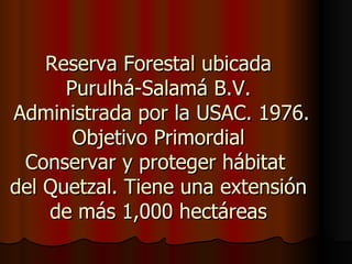 Reserva Forestal ubicada
      Purulhá-Salamá B.V.
Administrada por la USAC. 1976.
       Objetivo Primordial
 Conservar y proteger hábitat
del Quetzal. Tiene una extensión
    de más 1,000 hectáreas
 