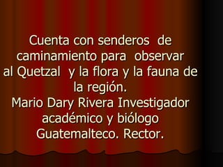 Cuenta con senderos de
   caminamiento para observar
al Quetzal y la flora y la fauna de
            la región.
 Mario Dary Rivera Investigador
       académico y biólogo
      Guatemalteco. Rector.
 