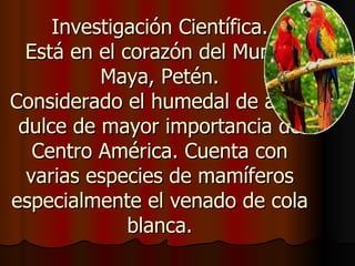 Investigación Científica.
  Está en el corazón del Mundo
          Maya, Petén.
Considerado el humedal de agua
 dulce de mayor importancia de
   Centro América. Cuenta con
  varias especies de mamíferos
especialmente el venado de cola
              blanca.
 