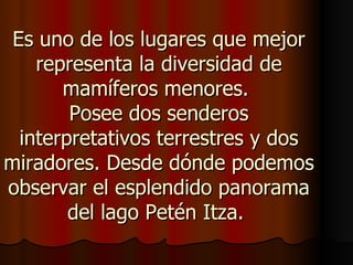 Es uno de los lugares que mejor
    representa la diversidad de
       mamíferos menores.
        Posee dos senderos
  interpretativos terrestres y dos
miradores. Desde dónde podemos
observar el esplendido panorama
        del lago Petén Itza.
 