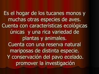 Es el hogar de los tucanes monos y
   muchas otras especies de aves.
Cuenta con características ecológicas
    únicas y una rica variedad de
          plantas y animales.
   Cuenta con una reserva natural
    mariposas de distinta especie.
  Y conservación del pavo ecelado.
       promover la investigación
 