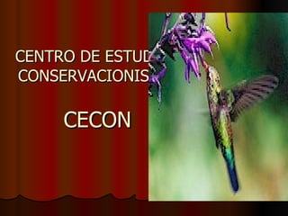 CENTRO DE ESTUDIOS
CONSERVACIONISTAS

     CECON
 