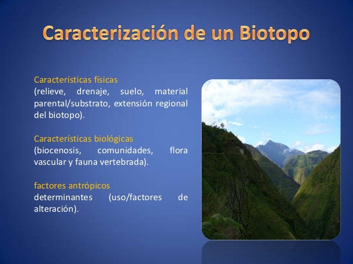 Biotopos finl