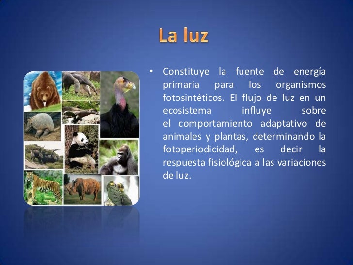 Biotopos finl