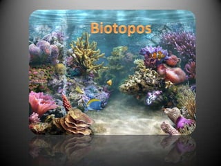 Biotopos 