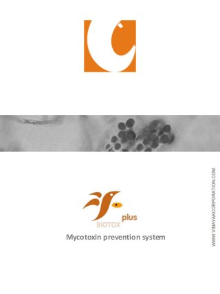 Mycotoxin prevention system
 