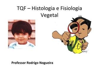 Professor Rodrigo Nogueira TQF – Histologia e Fisiologia Vegetal 