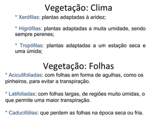 Vegetação: Clima * Xerófilas:  plantas adaptadas à aridez; * Higrófilas:  plantas adaptadas a muita umidade, sendo sempre perenes; * Tropófilas:  plantas adaptadas a um estação seca e uma úmida; Vegetação: Folhas * Aciculifoliadas : com folhas em forma de agulhas, como os pinheiros, para evitar a transpiração. * Latifoliadas : com folhas largas, de regiões muito úmidas, o que permite uma maior transpiração. * Caducifólias : que perdem as folhas na época seca ou fria. 