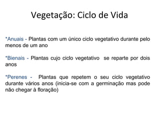 Vegetação: Ciclo de Vida *Anuais -  Plantas com um único ciclo vegetativo durante pelo menos de um ano *Bienais -  Plantas cujo ciclo vegetativo  se reparte por dois anos  *Perenes -  Plantas que repetem o seu ciclo vegetativo durante vários anos (inicia-se com a germinação mas pode não chegar à floração) 