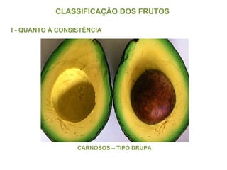 CLASSIFICAÇÃO DOS FRUTOS  I - QUANTO À CONSISTÊNCIA CARNOSOS – TIPO DRUPA 