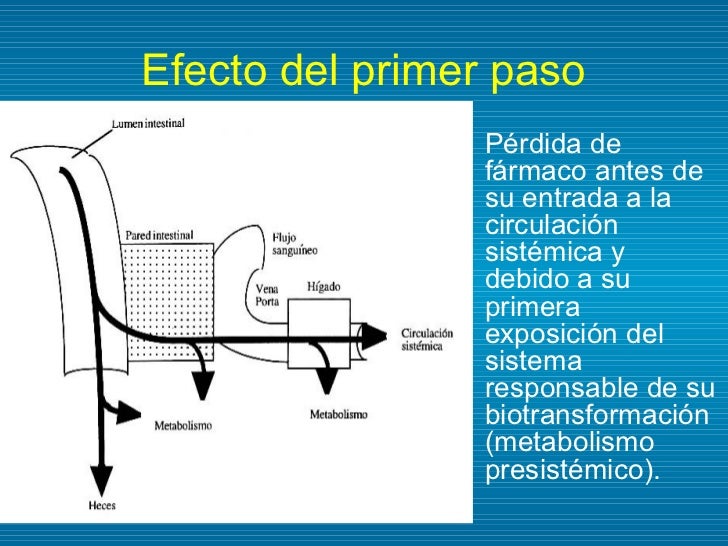 acelerar el metabolismo alimentos hombre