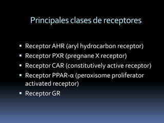 Principales clases de receptores

 Receptor AHR (aryl hydrocarbon receptor)
 Receptor PXR (pregnane X receptor)
 Receptor CAR (constitutively active receptor)
 Receptor PPAR-α (peroxisome proliferator
  activated receptor)
 Receptor GR
 