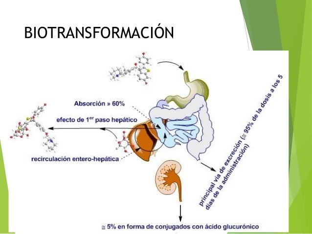 Biotransformación de fármacos Biotransformación de fármacos