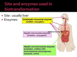  Site : usually liver
 Enzymes:
 