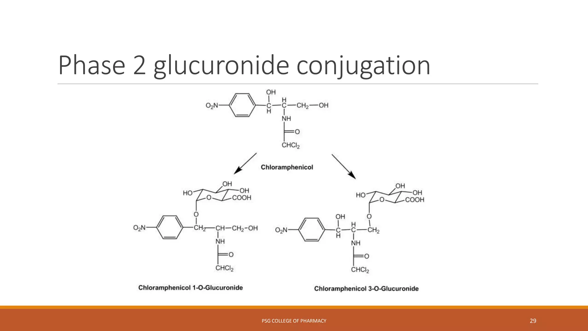 Biotransformation-pharmacology | PPTX