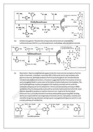 (iv) Sulfate conjugation- The phenoliccompoundsandsteroidsare sulphatedby
sulfotransferases(SULTs),e.g.chloramphenicol,methyldopa,adrenal andsex steroids.
(v) Glycination- Glycineandglutamate appeartobe the mostcommon acceptorsof amino
acidsin mammals.Inhumans,more than95% of bile acidsare N–acyl amidateswith
glycine ortaurine.Althoughproductsof aminoacidconjugationare consideredtobe
metabolicallystableandnontoxic, ithasbeensuggestedthatthe firstreactionof amino
acid conjugationleadsinsome casestoformationof potentiallytoxicintermediates.This
toxificationpathwayinvolvesconjugationof N–hydroxyaromaticamineswiththe
carboxylicacidgroupof serine andproline.Aminoacidactivatedbyaminoacyl–tRNA–
synthetase (Fig.9) subsequentlyreactswithanaromatichydroxylamine toformN–ester
that can degrade to produce a reactive nitreniumion.Ingeneral,the toxicityof
nitreniumionsisclinicallyrelevantsince these electrophilespossessingDNA–binding
abilityare responsible forcarcinogenicityof aromaticamines. Salicylates,nicotinicacid
and otherdrugshavingcarboxylicacid groupare conjugatedwithglycine,butthisis not
a major pathwayof metabolism.
 