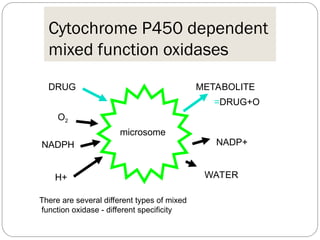Mixed Function BIOTRANSFORMATION of drugs and drug metabolism.ppt