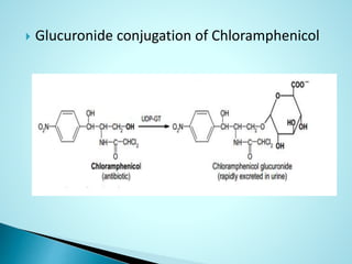  Glucuronide conjugation of Chloramphenicol
 
