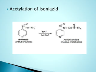  Acetylation of Isoniazid
 