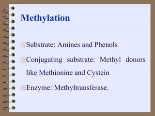 Methylation
Substrate: Amines and Phenols
Conjugating substrate: Methyl donors
like Methionine and Cystein
Enzyme: Methyltransferase.
 