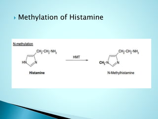  Methylation of Histamine
 