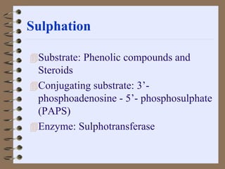 Sulphation
Substrate: Phenolic compounds and
Steroids
Conjugating substrate: 3’-
phosphoadenosine - 5’- phosphosulphate
(PAPS)
Enzyme: Sulphotransferase
 