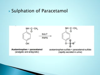  Sulphation of Paracetamol
 