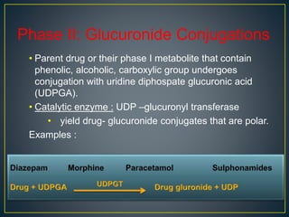 Phase II: Glucuronide Conjugations
• Parent drug or their phase I metabolite that contain
phenolic, alcoholic, carboxylic group undergoes
conjugation with uridine diphospate glucuronic acid
(UDPGA).
• Catalytic enzyme : UDP –glucuronyl transferase
• yield drug- glucuronide conjugates that are polar.
Examples :
 