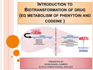 INTRODUCTION TO 
BIOTRANSFORMATION OF DRUG 
(EG METABOLISM OF PHENYTOIN AND 
CODEINE ) 
PRESENTED BY 
ADAM SHAHUL HAMEED 
M.TECH COMPUTATIONAL BIOLOGY 
 