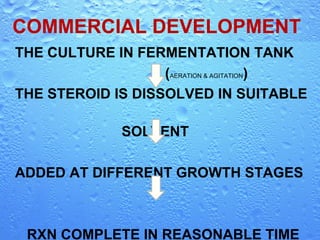 Biotransformation of steroids | PPT