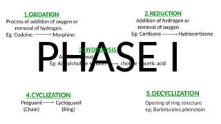 BIOTRANSFORMATION presentation 2023.pptx