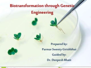 Biotransformation through Genetic
Engineering
Prepared by:
Parmar SweetyGirishbhai
Guided by:
Dr. Deepesh Bhatt
 