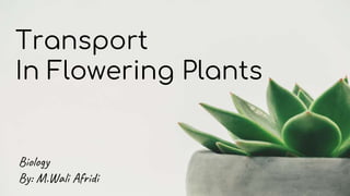 Transport
In Flowering Plants
Biology
By: M.Wali Afridi
 