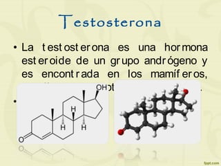 Testosterona
• La t est ost erona es una hormona
est eroide de un grupo andrógeno y
es encont rada en los mamíf eros,
rept iles, aves, y ot ros vert ebrados.
•
 