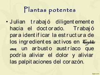 Plantas potentes
• J ulian t r abaj ó diligent ement e
hacia el doct orado. Tr abaj ó
par a ident if icar la est ruct ura de
los ingredient es act ivos en Corydalis
cava, un arbust o aust ríaco que
podría aliviar el dolor y aliviar
las palpit aciones del cor azón.
 