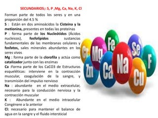 Forman parte de todos los seres y en una
proporción del 4.5 %
S : Están en dos aminoácidos la Cisteina y la
metionina, presentes en todas las proteinas
P : forma parte de los Nucleótidos (Ácidos
nucleicos), fosfolípidos sustancias
fundamentales de las membranas celulares y
fosfatos, sales minerales abundantes en los
seres vivos
Mg : forma parte de la clorofila y actúa como
catalizador junto con las enzimas
Ca :Forma parte de los CaCO3 de Estructuras
esqueléticas: interviene en la contracción
muscular, coagulación de la sangre, y
transmisión del impulso nervioso
Na : abundante en el medio extracelular,
necesario para la conducción nerviosa y la
contracción muscular
K : Abundante en el medio intracelular
Congénere a la anterior
Cl: necesario para mantener el balance de
agua en la sangre y el fluido intersticial
SECUNDARIOS;: S, P ,Mg, Ca, Na, K, Cl
 