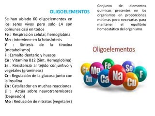 Se han aislado 60 oligoelementos en
los seres vivos pero solo 14 son
comunes casi en todos
Fe : Respiración celular, hemoglobina
Mn : interviene en la fotosíntesis
Y : Síntesis de la tiroxina
(metabolismo)
F : Esmalte dentario y huesos
Co : Vitamina B12 (Sint. Hemoglobina)
Si : Resistencia al tejido conjuntivo y
vegetales (gramíneas)
Cr : Regulación de la glucosa junto con
la insulina
Zn : Catalizador en muchas reacciones
Li : Actúa sobre neurotransmisores
(Depresión)
Mo : Reducción de nitratos (vegetales)
OLIGOELEMENTOS
Conjunto de elementos
químicos presentes en los
organismos en proporciones
mínimas pero necesarias para
mantener el equilibrio
homeostático del organismo
 