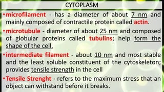CYTOPLASM
•microfilament - has a diameter of about 7 nm and
mainly composed of contractile protein called actin.
•microtubule - diameter of about 25 nm and composed
of globular proteins called tubulins; help form the
shape of the cell.
•intermediate filament - about 10 nm and most stable
and the least soluble constituent of the cytoskeleton;
provides tensile strength in the cell
•Tensile Strenght - refers to the maximum stress that an
object can withstand before it breaks.
 