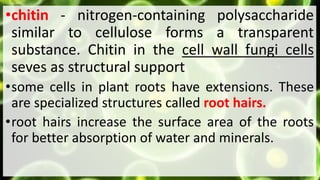 •chitin - nitrogen-containing polysaccharide
similar to cellulose forms a transparent
substance. Chitin in the cell wall fungi cells
seves as structural support
•some cells in plant roots have extensions. These
are specialized structures called root hairs.
•root hairs increase the surface area of the roots
for better absorption of water and minerals.
 