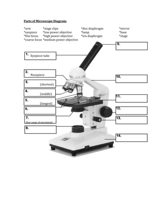Parts of Microscope Diagram: 
 
*arm          *stage clips             *disc diaphragm        *mirror 
*eyepiece     *low power objective     *lamp                  *base 
*fine focus  *high power objective     *iris diaphragm        *stage 
*coarse focus *medium power objective 




        Eyepiece tube 
         



        Nosepiece 
         
                (shortest) 
                 
                 
                (middle) 
                 
                 
                (longest) 
                 
                 


    (free range of movement)
     
     




                                                                          
 
 
 