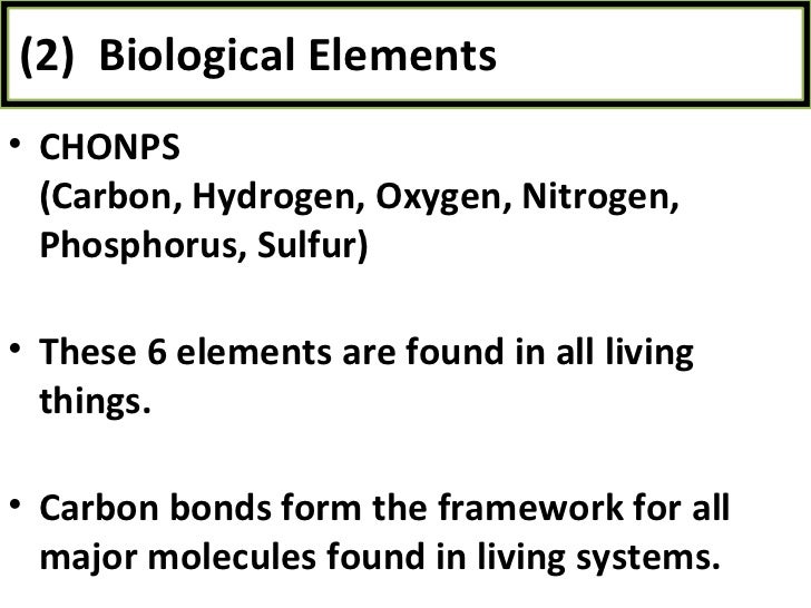 elements what found in are all chemical fats 1 notes and Bio unit biological elements biomolecules elements what found in are all chemical fats 1 notes and Bio unit biological elements biomolecules