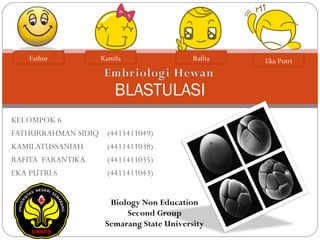 KELOMPOK 6
FATHURRAHMAN SIDIQ (4411411049)
KAMILATUSSANIAH (4411411038)
RAFITA FARANTIKA (4411411035)
EKA PUTRI S (4411411043)
BLASTULASI
Fathur Kamila Rafita Eka Putri
Biology Non Education
Second Group
Semarang State University
 