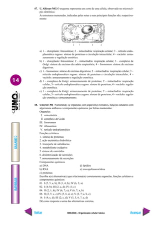 IMPRIMIR
Voltar
GABARITO
Avançar
14
BIOLOGIA - Organização celular básica
47. U. Alfenas-MG O esquema representa um corte de uma célula, observado no microscó-
pio eletrônico.
As estruturas numeradas, indicadas pelas setas e suas principais funções são, respectiva-
mente:
3 1 4 2
a) 1 – cloroplasto: fotossíntese; 2 – mitocôndria: respiração celular; 3 – retículo endo-
plasmático rugoso: síntese de proteínas e circulação intracelular; 4 – vacúolo: arma-
zenamento e regulação osmótica.
b) 1 – cloroplasto: fotossíntese; 2 – mitocôndria: respiração celular; 3 – complexo de
Golgi: síntese de enzimas da cadeia respiratória; 4 – lisossomos: síntese de enzimas
digestivas.
c) 1 – lisossomos: síntese de enzimas digestivas; 2 – mitocôndria: respiração celular; 3 –
retículo endoplasmático rugoso: síntese de proteínas e circulação intracelular; 4 –
vacúolo: armazenamento e regulação osmótica.
d) 1 – complexo de Golgi: armazenamento de proteínas; 2 – mitocôndria: respiração
celular; 3 – retículo endoplasmático rugoso: síntese de proteínas; 4 – vacúolo: regula-
ção osmótica.
e) 1 – complexo de Golgi: armazenamento de proteínas; 2 – mitocôndria: respiração
celular; 3 – retículo endoplasmático rugoso: síntese de proteínas; 4 – vacúolo: regula-
ção osmótica e armazenamento.
48. Unoeste-PR Numerando-se organelas com algarismos romanos, funções celulares com
algarismos arábicos e componentes químicos por letras maiúsculas:
Organelas
I. mitocôndria
II complexo de Goldi
III. lisossomos
IV. ribossomos
V. retículo endoplasmático
Funções celulares
1. síntese de proteínas
2. ação enzimática hidrolítica
3. transporte de substâncias
4. metabolismo oxidativo
5. síntese de esteróides
6. desintoxicação de secreções
7. armazenamento de secreções
Componentes químicos
a) DNA d) lipídios
b) RNA e) mucopolissacarídeos
c) proteínas
Escolha a(s) alternativa(s) que relaciona(m) corretamente organelas, funções celulares e
componentes químicos:
01. I (2, 5; a, b); II (1, 4; b); IV (6, 3; a)
02. I (4; b); III (2; c, d); IV (1; c)
04. II (2, 1; b); IV (6, 7; e); V (6, 7; a, b)
08. II (2, 5; c, e) IV (5, 6; d, e); V (2, 7; a, b, e)
16. I (4; c, d); III (2; c, d); V (3, 5, 6, 7; c, d)
Dê como resposta a soma das alternativas corretas.
 