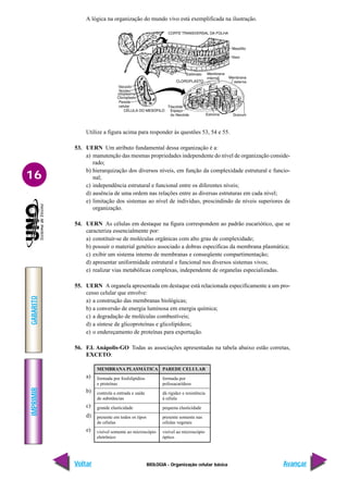 IMPRIMIR
Voltar
GABARITO
Avançar
16
BIOLOGIA - Organização celular básica
A lógica na organização do mundo vivo está exemplificada na ilustração.
Utilize a figura acima para responder às questões 53, 54 e 55.
53. UERN Um atributo fundamental dessa organização é a:
a) manutenção das mesmas propriedades independente do nível de organização conside-
rado;
b) hierarquização dos diversos níveis, em função da complexidade estrutural e funcio-
nal;
c) independência estrutural e funcional entre os diferentes níveis;
d) ausência de uma ordem nas relações entre as diversas estruturas em cada nível;
e) limitação dos sistemas ao nível de indivíduo, prescindindo de níveis superiores de
organização.
54. UERN As células em destaque na figura correspondem ao padrão eucariótico, que se
caracteriza essencialmente por:
a) constituir-se de moléculas orgânicas com alto grau de complexidade;
b) possuir o material genético associado a dobras específicas da membrana plasmática;
c) exibir um sistema interno de membranas e conseqüente compartimentação;
d) apresentar uniformidade estrutural e funcional nos diversos sistemas vivos;
e) realizar vias metabólicas complexas, independente de organelas especializadas.
55. UERN A organela apresentada em destaque está relacionada especificamente a um pro-
cesso celular que envolve:
a) a construção das membranas biológicas;
b) a conversão de energia luminosa em energia química;
c) a degradação de moléculas combustíveis;
d) a síntese de glicoproteínas e glicolipídeos;
e) o endereçamento de proteínas para exportação.
56. F.I. Anápolis-GO Todas as associações apresentadas na tabela abaixo estão corretas,
EXCETO:
MEMBRANA PLASMÁTICA
formada por fosfolipídios
e proteínas
controla a entrada e saída
de substâncias
grande elasticidade
presente em todos os tipos
de células
visível somente ao microscópio
eletrônico
PAREDE CELULAR
formada por
polissacarídeos
dá rigidez e resistência
à célula
pequena elasticidade
presente somente nas
células vegetais
visível ao microscópio
óptico
a)
b)
c)
d)
e)
 