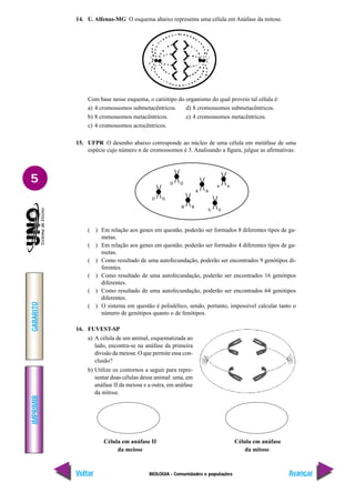 BIOLOGIA - Comunidades e populações
IMPRIMIR
Voltar
GABARITO
Avançar
5
14. U. Alfenas-MG O esquema abaixo representa uma célula em Anáfase da mitose.
Com base nesse esquema, o cariótipo do organismo do qual proveio tal célula é:
a) 4 cromossomos submetacêntricos. d) 8 cromossomos submetacêntricos.
b) 8 cromossomos metacêntricos. e) 4 cromossomos metacêntricos.
c) 4 cromossomos acrocêntricos.
15. UFPR O desenho abaixo corresponde ao núcleo de uma célula em metáfase de uma
espécie cujo número n de cromossomos é 3. Analisando a figura, julgue as afirmativas:
( ) Em relação aos genes em questão, poderão ser formados 8 diferentes tipos de ga-
metas.
( ) Em relação aos genes em questão, poderão ser formados 4 diferentes tipos de ga-
metas.
( ) Como resultado de uma autofecundação, poderão ser encontrados 9 genótipos di-
ferentes.
( ) Como resultado de uma autofecundação, poderão ser encontrados 16 genótipos
diferentes.
( ) Como resultado de uma autofecundação, poderão ser encontrados 64 genótipos
diferentes.
( ) O sistema em questão é polialélico, sendo, portanto, impossível calcular tanto o
número de genótipos quanto o de fenótipos.
16. FUVEST-SP
a) A célula de um animal, esquematizada ao
lado, encontra-se na anáfase da primeira
divisão da meiose. O que permite essa con-
clusão?
b) Utilize os contornos a seguir para repre-
sentar duas células desse animal: uma, em
anáfase II da meiose e a outra, em anáfase
da mitose.
Célula em anáfase II Célula em anáfase
da meiose da mitose
 