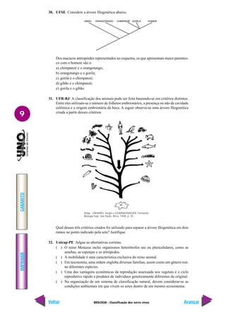 IMPRIMIR
Voltar
GABARITO
Avançar
9
BIOLOGIA - Classificação dos seres vivos
30. UFSE Considere a árvore filogenética abaixo.
Dos macacos antropóides representados no esquema, os que apresentam maior parentes-
co com o homem são o:
a) chimpanzé e o orangotango;
b) orangotango e o gorila;
c) gorila e o chimpanzé;
d) gibão e o chimpanzé;
e) gorila e o gibão.
31. UFR-RJ A classificação dos animais pode ser feita baseando-se em critérios distintos.
Entre eles utilizam-se o número de folhetos embrionários, a presença ou não de cavidade
celômica e a origem embrionária da boca. A seguir observa-se uma árvore filogenética
criada a partir desses critérios.
Qual desses três critérios citados foi utilizado para separar a árvore filogenética em dois
ramos no ponto indicado pela seta? Justifique.
32. Unicap-PE Julgue as alternativas corretas.
( ) O reino Metazoa inclui organismos heterótrofos uni ou pluricelulares, como as
amebas, as esponjas e os artrópodos.
( ) A mobilidade é uma característica exclusiva do reino animal.
( ) Em taxonomia, uma ordem engloba diversas famílias, assim como um gênero reú-
ne diferentes espécies.
( ) Uma das vantagens econômicas da reprodução assexuada nos vegetais é o ciclo
reprodutivo rápido e produtor de indivíduos geneticamente diferentes do original.
( ) Na organização de um sistema de classificação natural, devem considerar-se as
condições ambientais em que vivem os seres dentro de um mesmo ecossistema.
Adap.: LINHARES, Sergio e GEWANDSNADJER, Fernando.
Biologia hoje. São Paulo, Ática, 1998, p. 55.
 