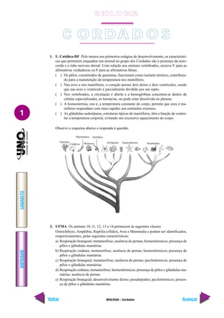 IMPRIMIR
Voltar
GABARITO
Avançar
1
BIOLOGIA - Cordados
1. U. Católica-DF Pelo menos nos primeiros estágios de desenvolvimento, as característi-
cas que permitem enquadrar um animal no grupo dos Cordados são a presença da noto-
corda e o tubo nervoso dorsal. Com relação aos animais vertebrados, escreva V para as
afirmativas verdadeiras ou F para as afirmativas falsas.
( ) Os pêlos, constituídos de queratina, funcionam como isolante térmico, contribuin-
do para a manutenção da temperatura nos mamíferos.
( ) Nas aves e nos mamíferos, o coração possui dois átrios e dois ventrículos, sendo
que nas aves o ventrículo é parcialmente dividido por um septo.
( ) Nos vertebrados, a circulação é aberta e a hemoglobina concentra-se dentro de
células especializadas, as hemácias, ou pode estar dissolvida no plasma.
( ) A homeotermia, isto é, a temperatura constante do corpo, permite que aves e ma-
míferos respondam com mais rapidez aos estímulos externos.
( ) As glândulas sudoríparas, estruturas típicas de mamíferos, têm a função de contro-
lar a temperatura corporal, evitando um excessivo aquecimento do corpo.
Observe o esquema abaixo e responda à questão.
2. UFMA Os animais 10, l1, 12, 13 e 14 pertencem às seguintes classes:
Osteichthyes, Amphibia, Reptilia (ofídio), Aves e Mammalia e podem ser identificados,
respectivamentes, pelas seguintes características:
a) Respiração branquial; metamorfose; ausência de pernas; homeotérmicos; presença de
pêlos e glândulas mamárias.
b) Respiração cutânea; metamorfose; ausência de pernas; homeotérmicos; presença de
pêlos e glândulas mamárias.
c) Respiração branquial; metamorfose; ausência de pernas; pecilotérmicos; presença de
pêlos e glândulas mamárias.
d) Respiração cutânea; metamorfose; homeotérmicos; presença de pêlos e glândulas ma-
márias; ausência de pernas.
e) Respiração branquial; desenvolvimento direto; pseudópodos; pecilotérmicos; presen-
ça de pêlos e glândulas mamárias.
Vertebrados
Esponjas
Cnidários
Platelmintos
Moluscos
Anelídeos
Artrópodos Equinodermos
C O R D A D O S
B IO L O GIA
 